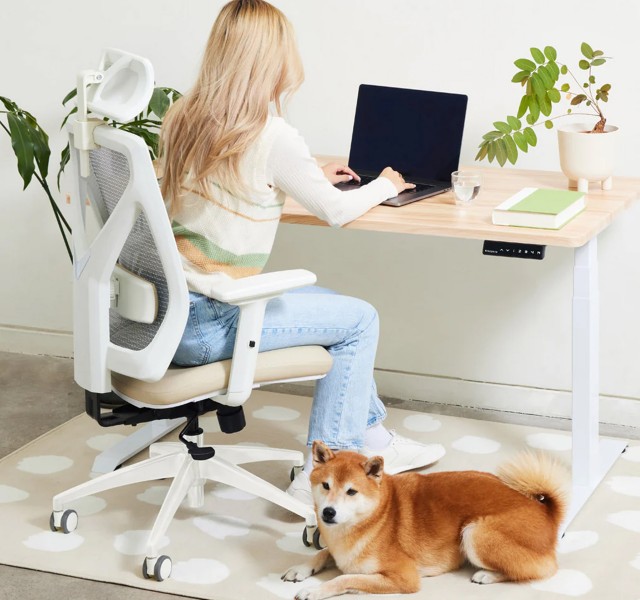 Стіл з регулюванням висоти Dual